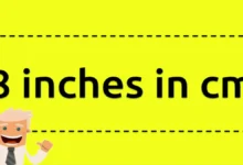 8 Inches