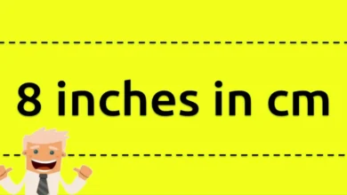 8 Inches