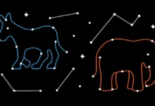 2024 Presidential Election Predictions Astrology