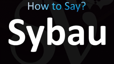What Does Sybau Mean?