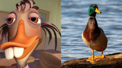 The Duck from Chicken Little