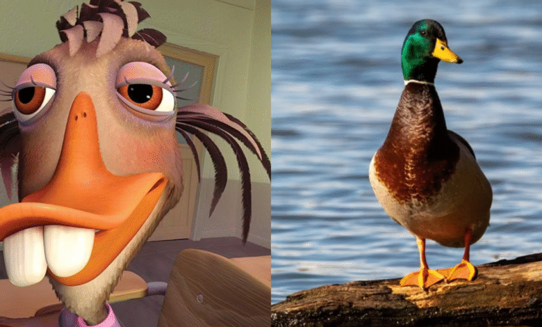 The Duck from Chicken Little