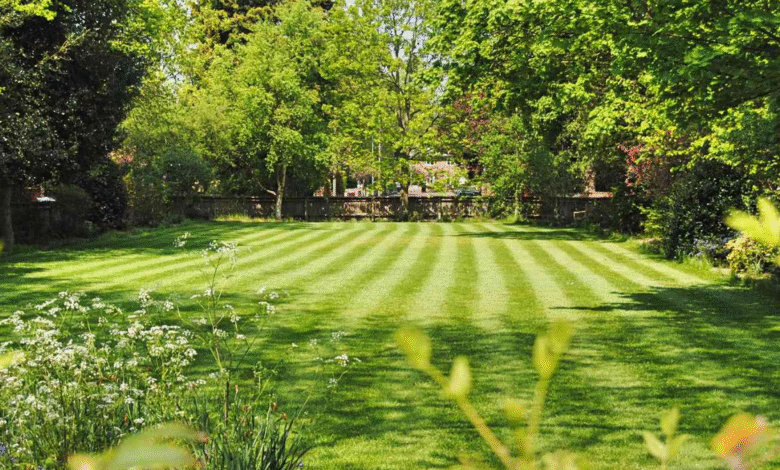 Lawn Love