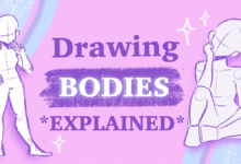 Body Bases