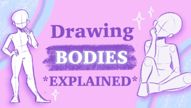 Body Bases