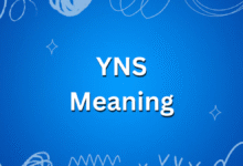 YNS Meaning