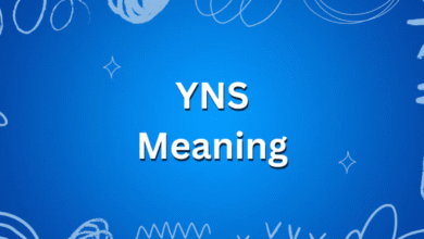 YNS Meaning